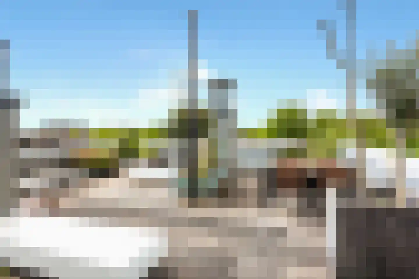 Rapenburgerplein 71 Amsterdam thumbnail 23