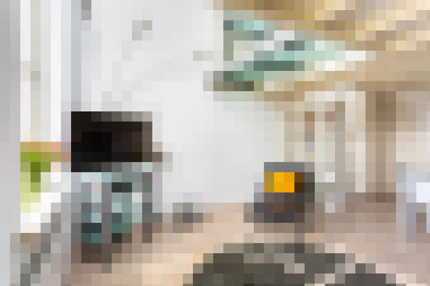 Rapenburgerplein 71 Amsterdam thumbnail 6