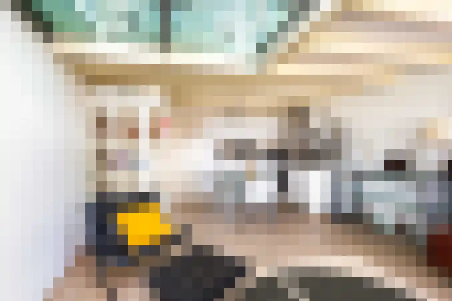 Rapenburgerplein 71 Amsterdam thumbnail 8