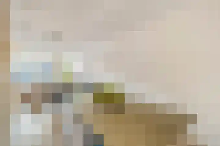 Rapenburgerplein 8 A Amsterdam thumbnail 16