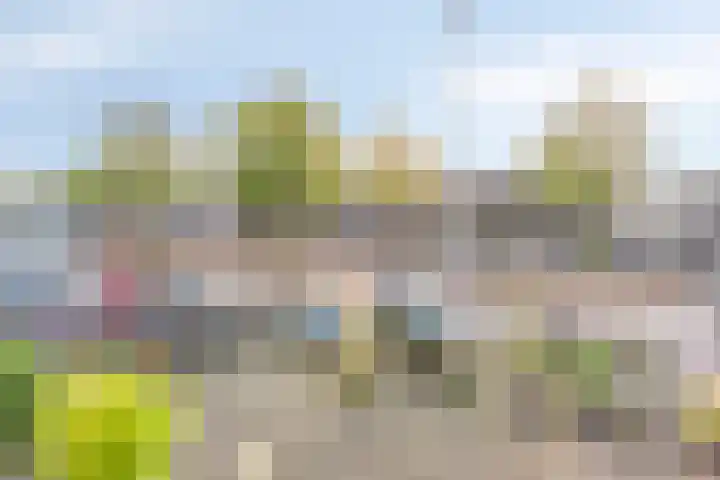 Rapenburgerplein 8 A Amsterdam thumbnail 23