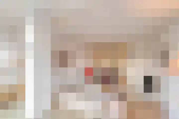 Rapenburgerplein 8 A Amsterdam thumbnail 24