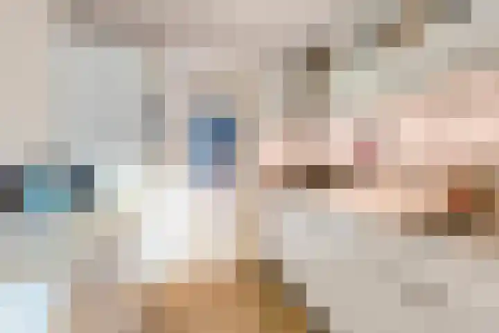 Rapenburgerplein 8 A Amsterdam thumbnail 8