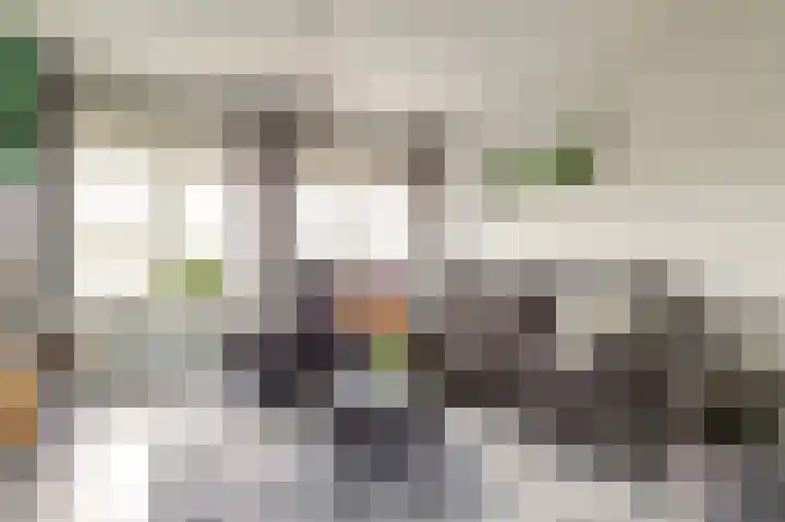 Rapenburgerschans 68 Nieuwegein thumbnail 36