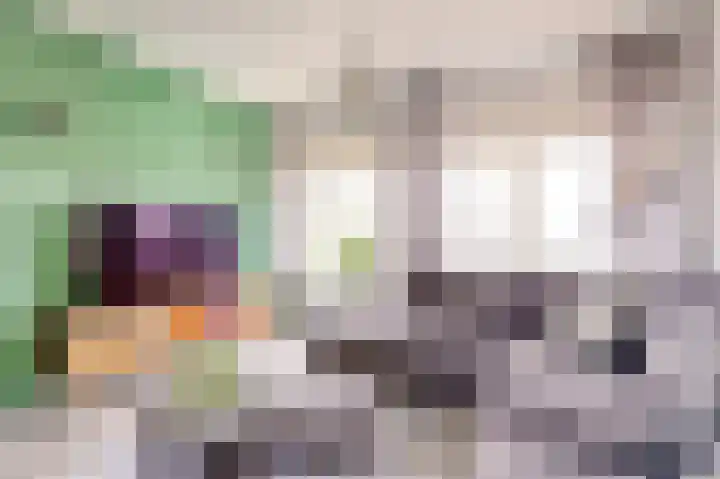 Rapenburgerschans 68 Nieuwegein thumbnail 4