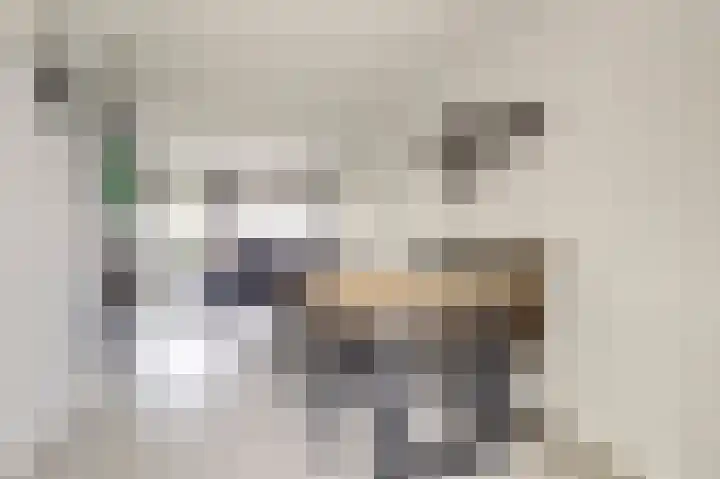Rapenburgerschans 68 Nieuwegein thumbnail 6