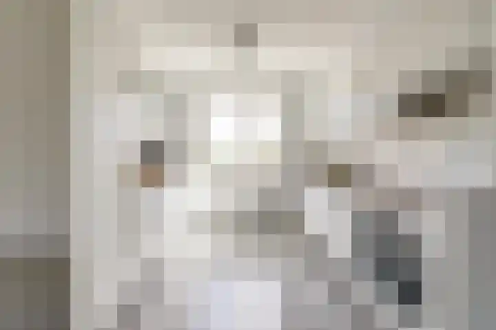 Rapenburgerschans 68 Nieuwegein thumbnail 7