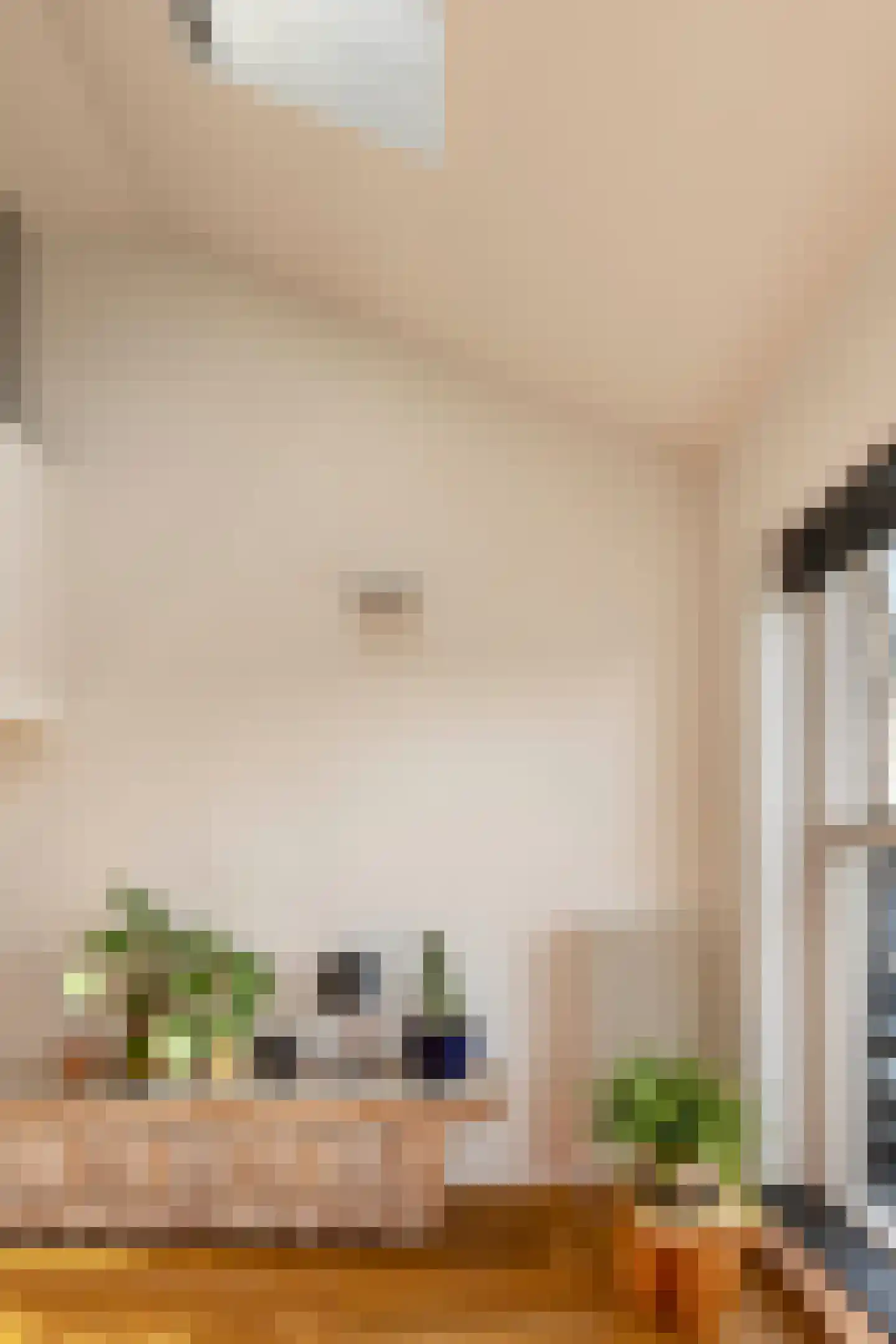 Rapenburgerstraat 103 F Amsterdam thumbnail 12