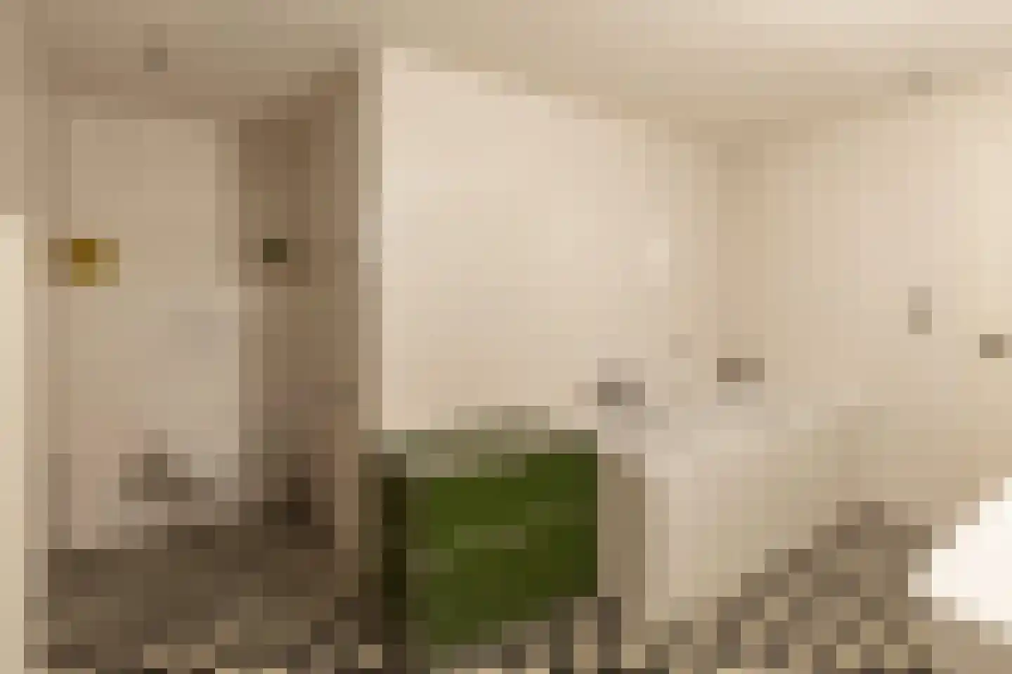 Rapenburgerstraat 103 F Amsterdam thumbnail 22