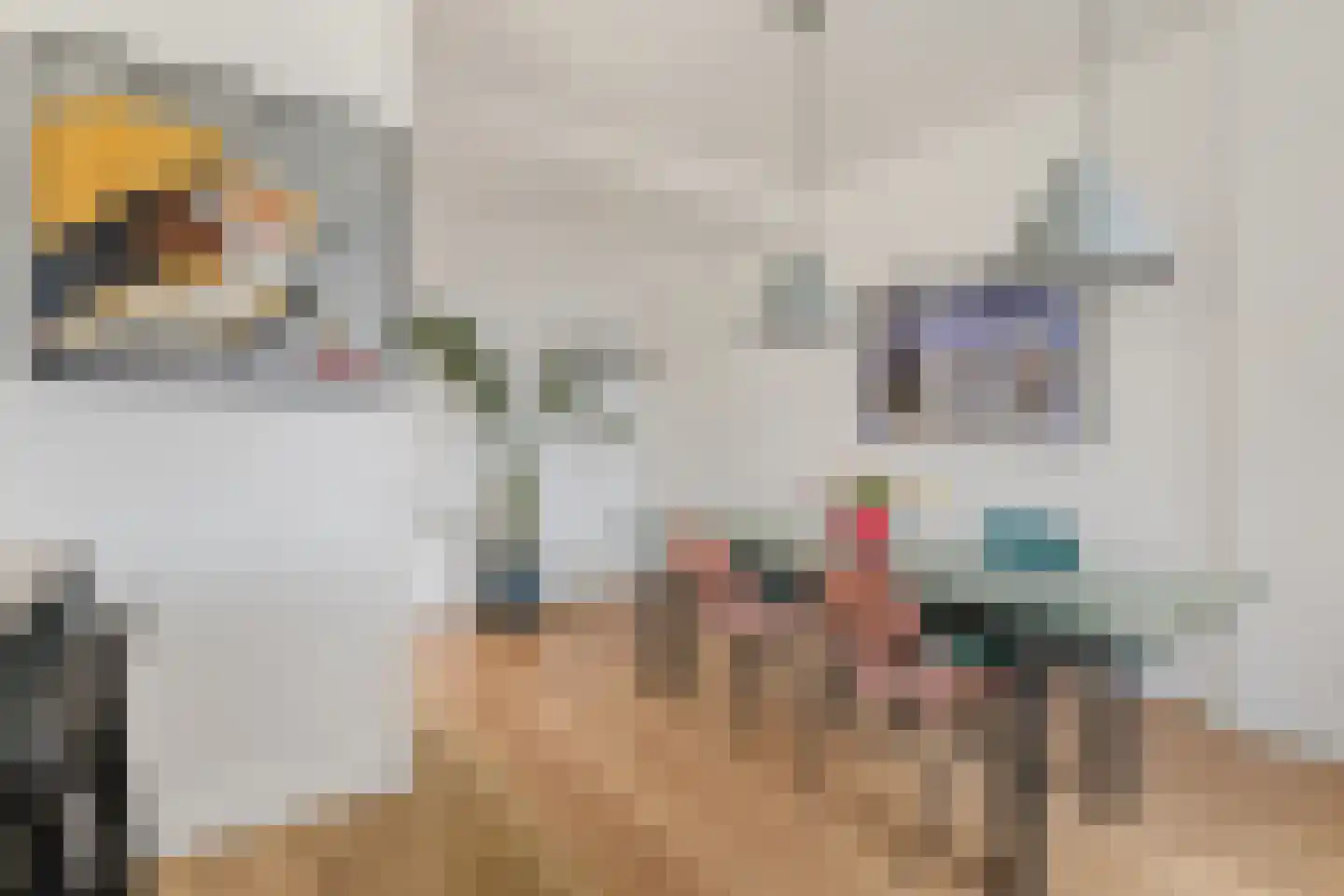 Rapenburgerstraat 107 2 Amsterdam thumbnail 14