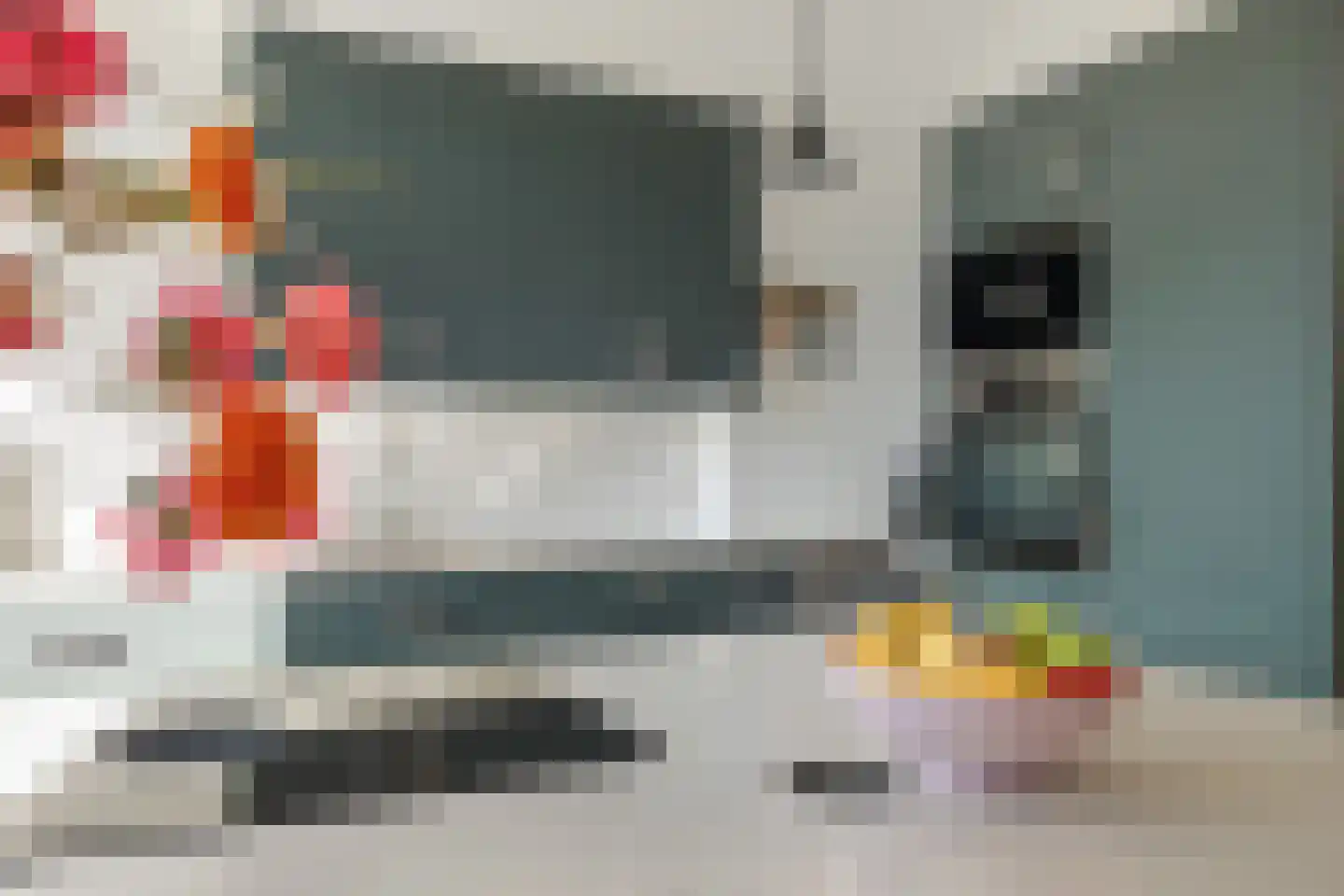 Rapenburgerstraat 107 2 Amsterdam thumbnail 17