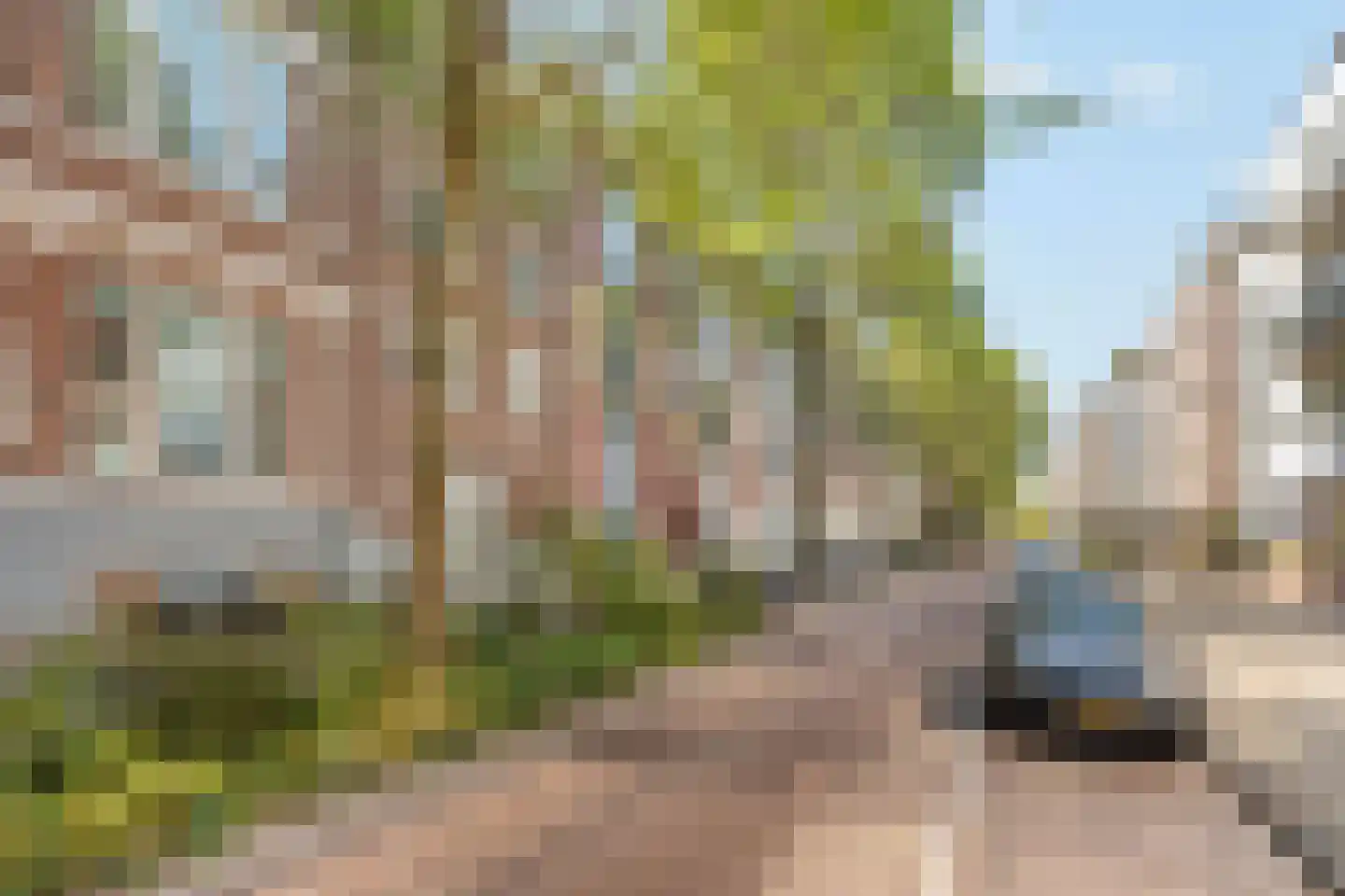 Rapenburgerstraat 107 2 Amsterdam thumbnail 45