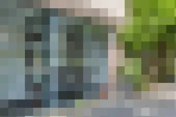 Rapenburgerstraat 110 Amsterdam thumbnail 6