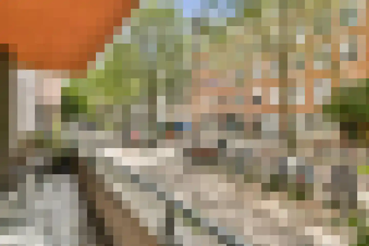 Rapenburgerstraat 114 Amsterdam thumbnail 10
