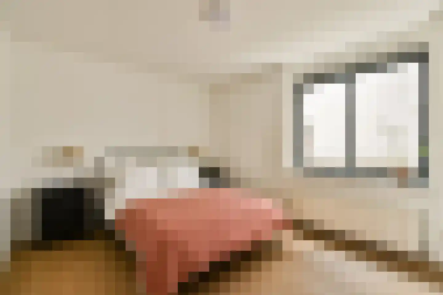 Rapenburgerstraat 114 Amsterdam thumbnail 11