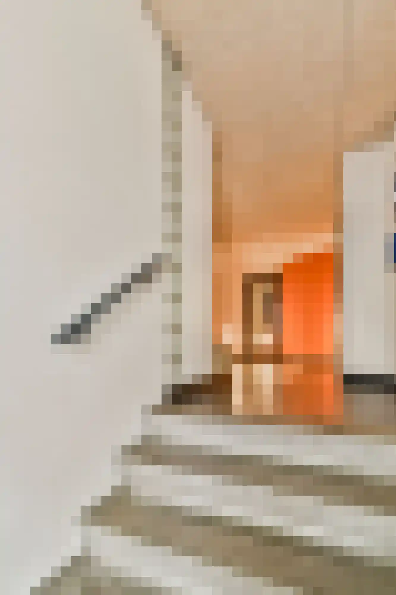 Rapenburgerstraat 114 Amsterdam thumbnail 20