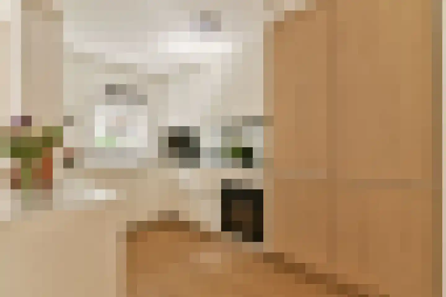 Rapenburgerstraat 114 Amsterdam thumbnail 4