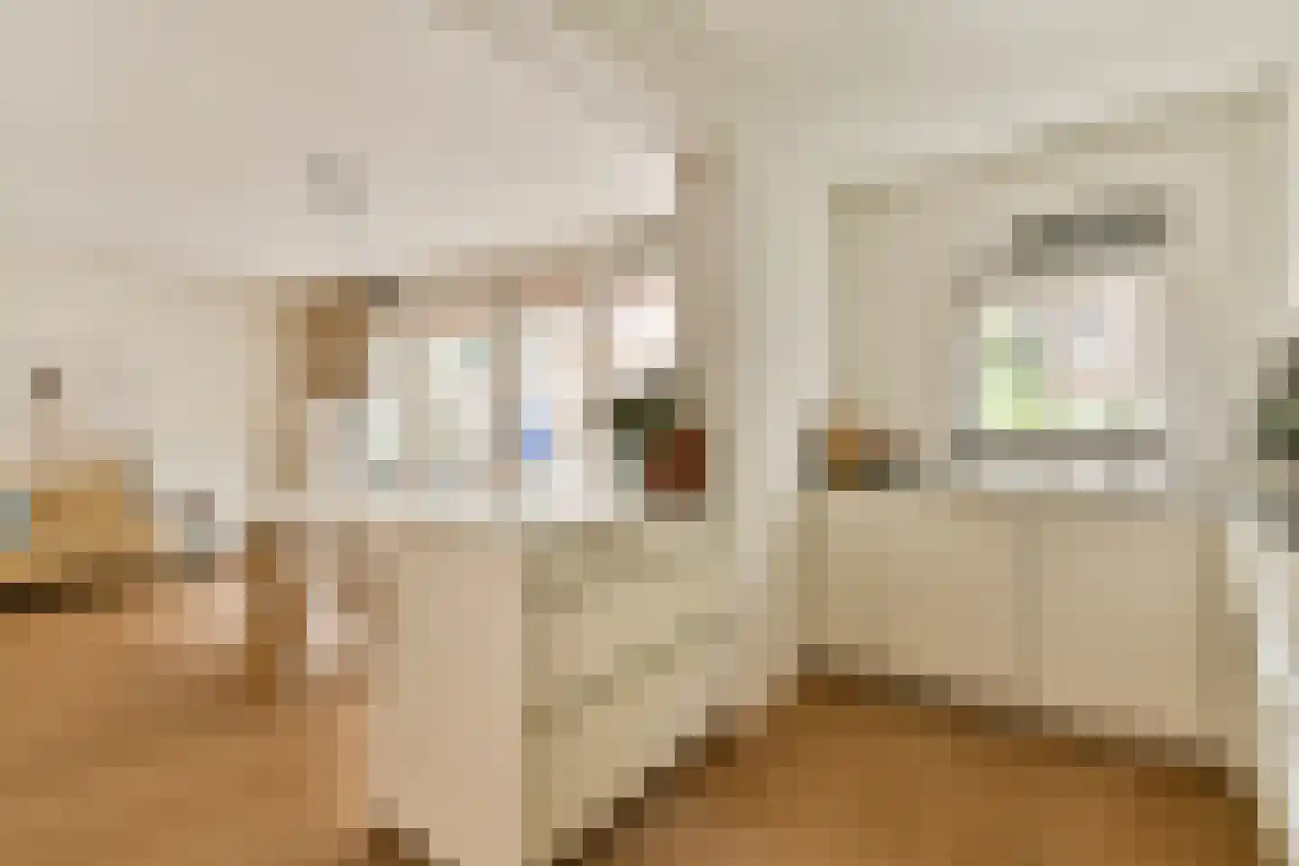 Rapenburgerstraat 114 Amsterdam thumbnail 5
