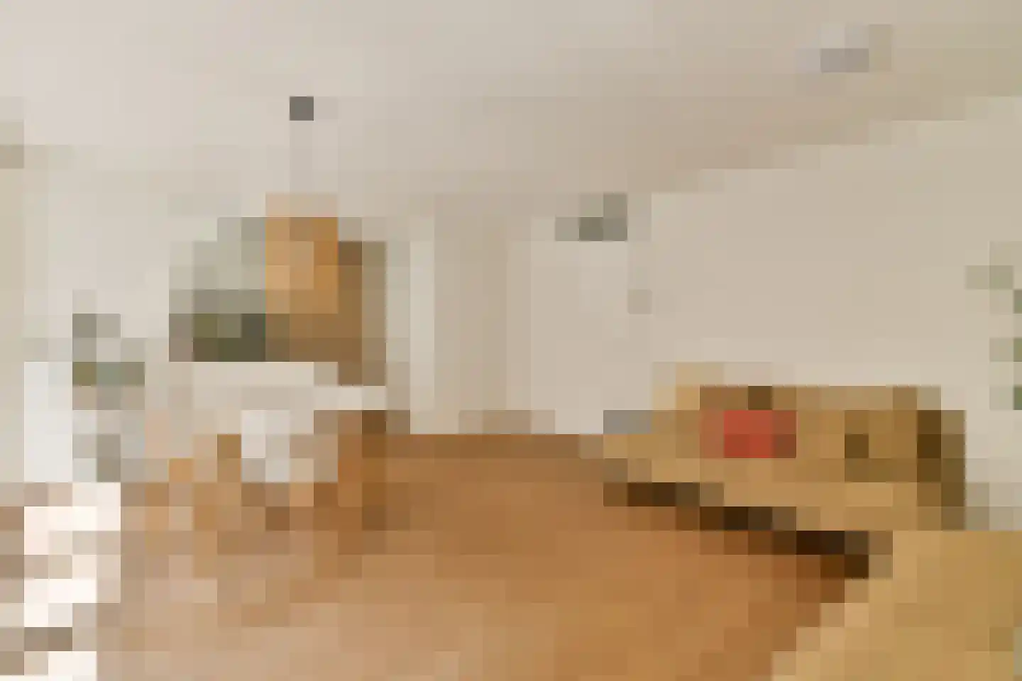 Rapenburgerstraat 114 Amsterdam thumbnail 6