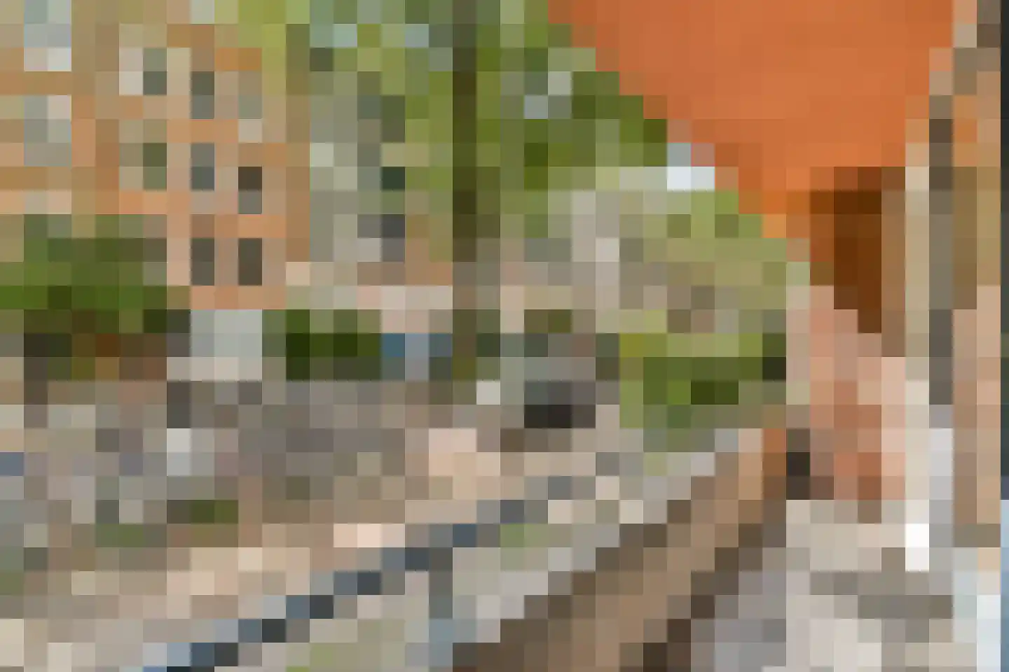 Rapenburgerstraat 114 Amsterdam thumbnail 9