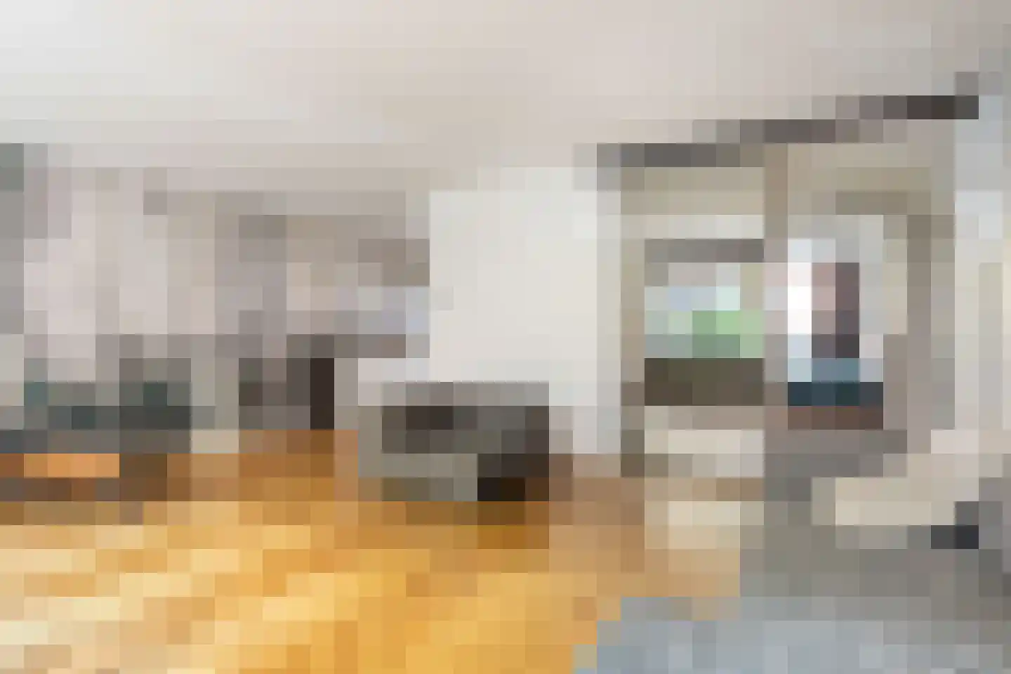 Rapenburgerstraat 116 Amsterdam thumbnail 10