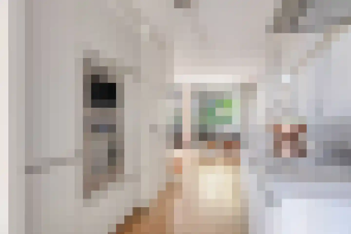Rapenburgerstraat 116 Amsterdam thumbnail 11