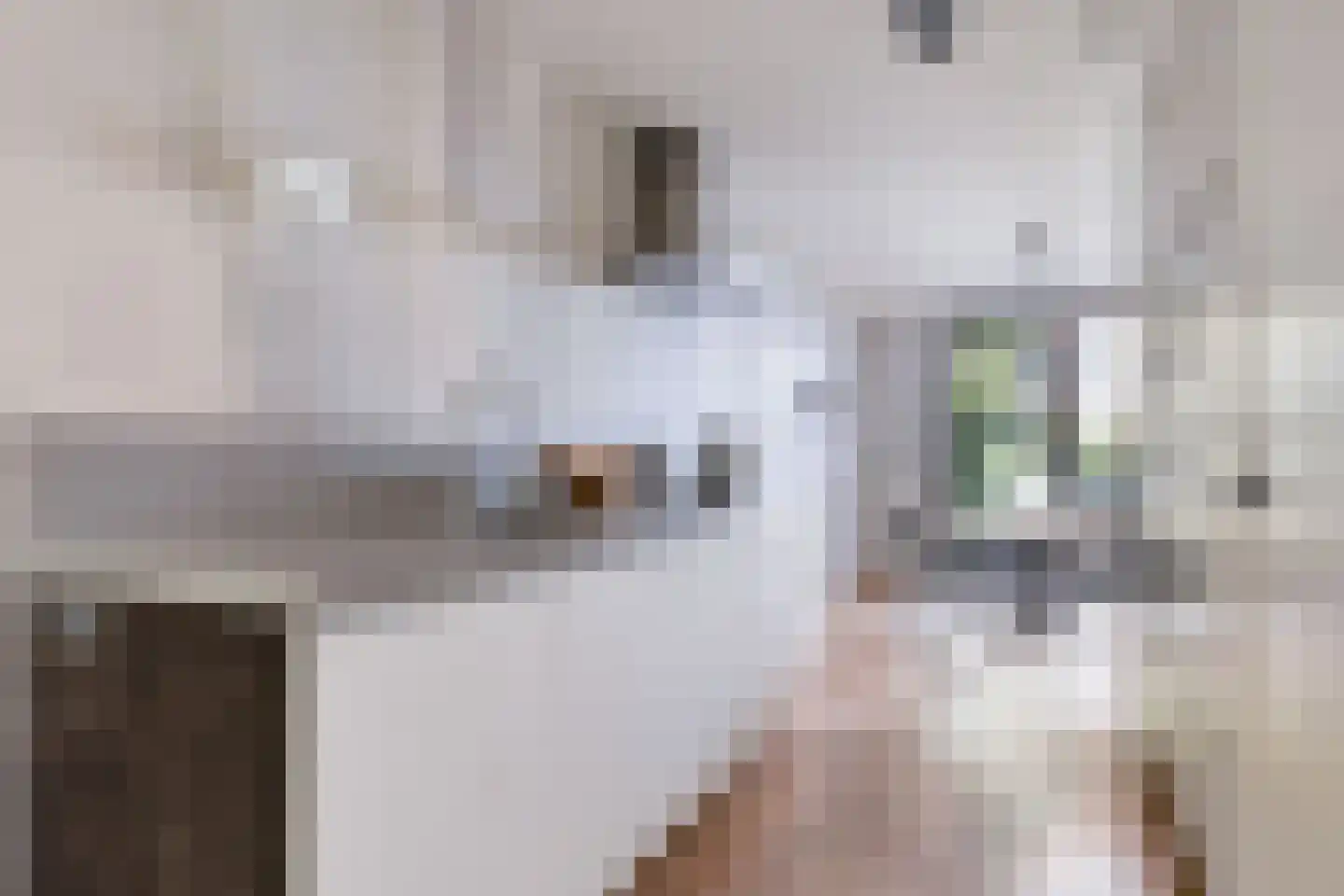 Rapenburgerstraat 116 Amsterdam thumbnail 12