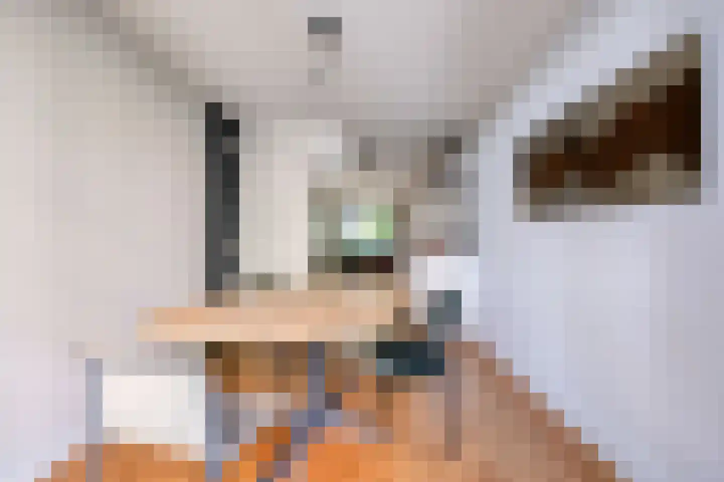 Rapenburgerstraat 116 Amsterdam thumbnail 15