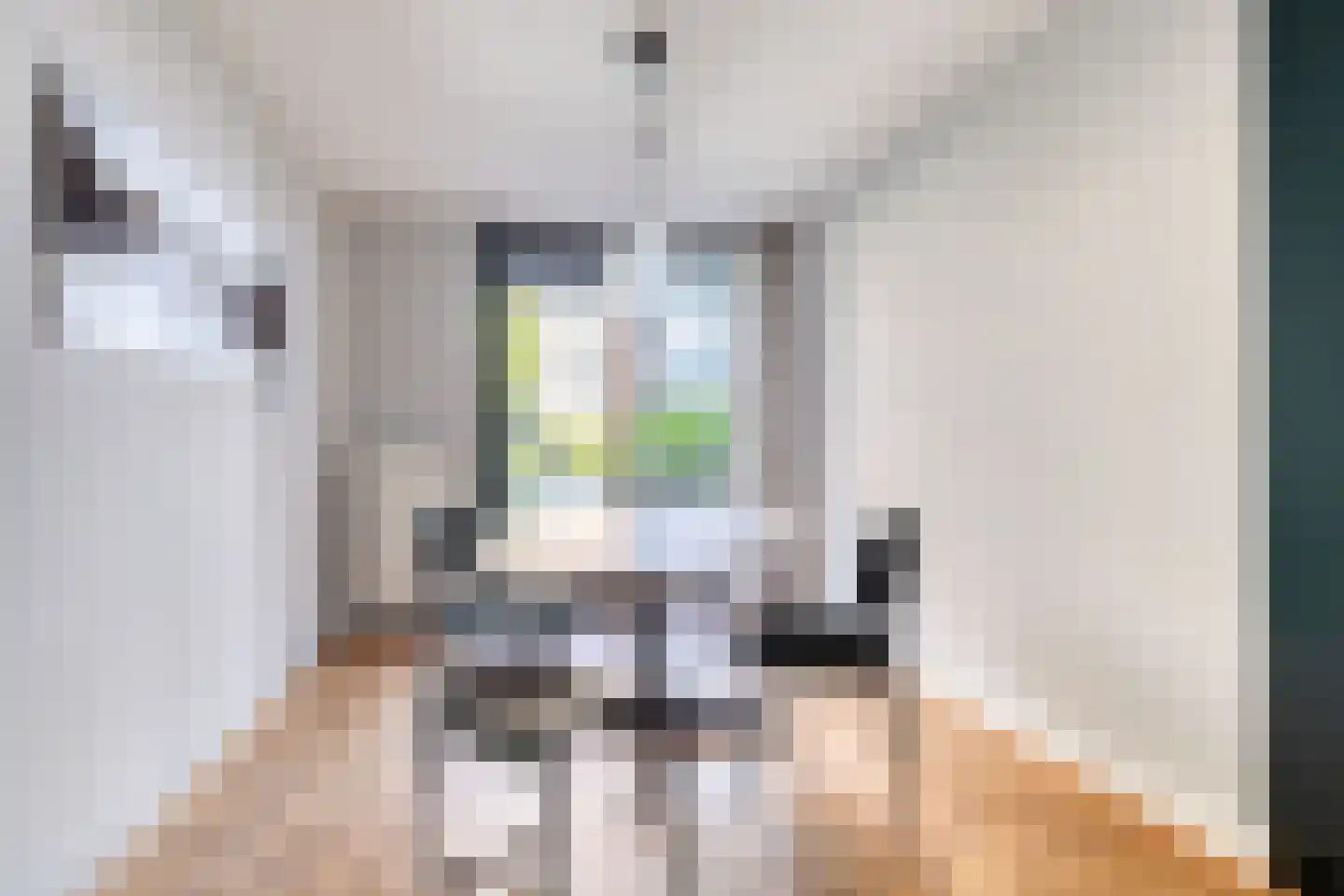 Rapenburgerstraat 116 Amsterdam thumbnail 16