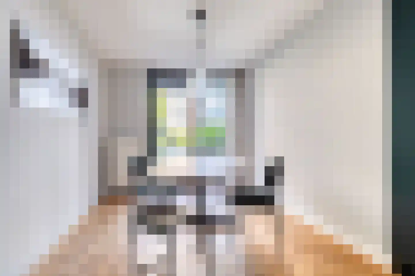 Rapenburgerstraat 116 Amsterdam thumbnail 16