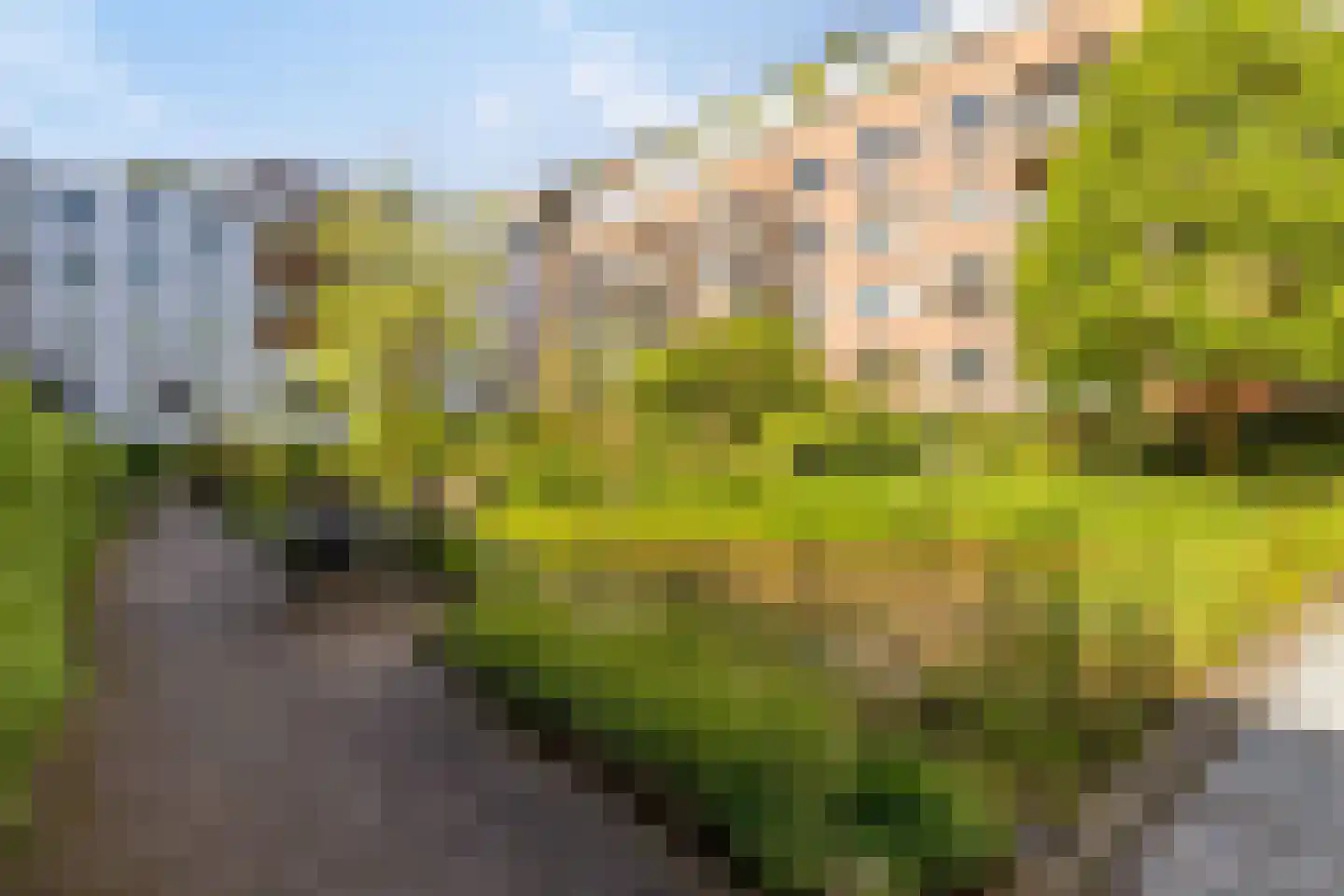 Rapenburgerstraat 116 Amsterdam thumbnail 22