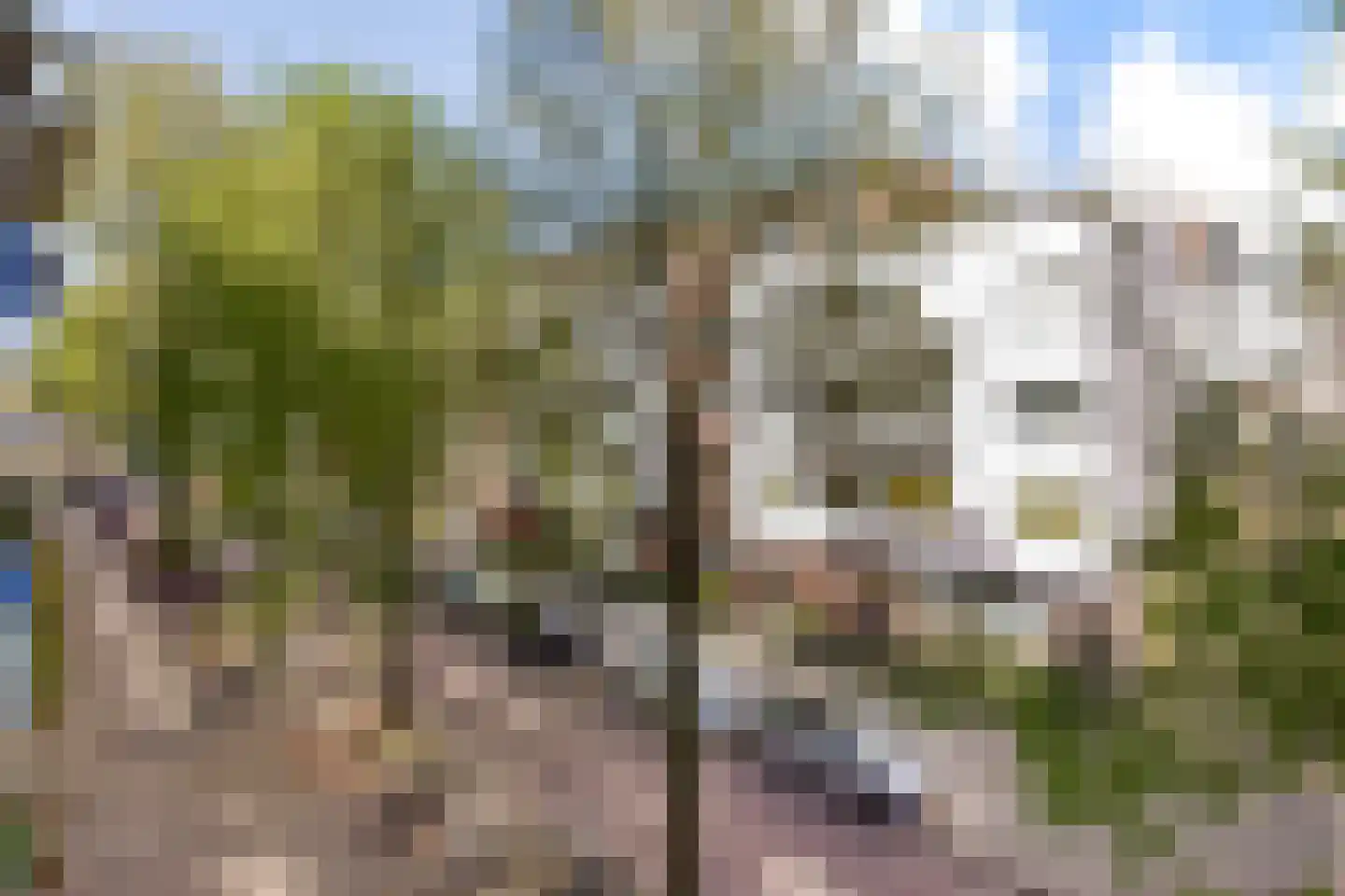 Rapenburgerstraat 155 B Amsterdam thumbnail 22
