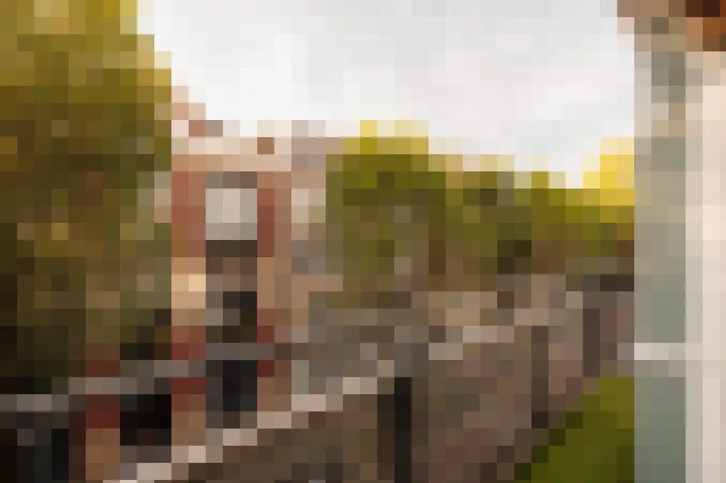 Rapenburgerstraat 194 Amsterdam thumbnail 13