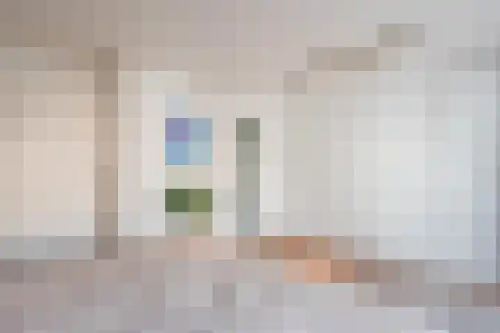 Rapenburgerstraat 238 Amsterdam thumbnail 25