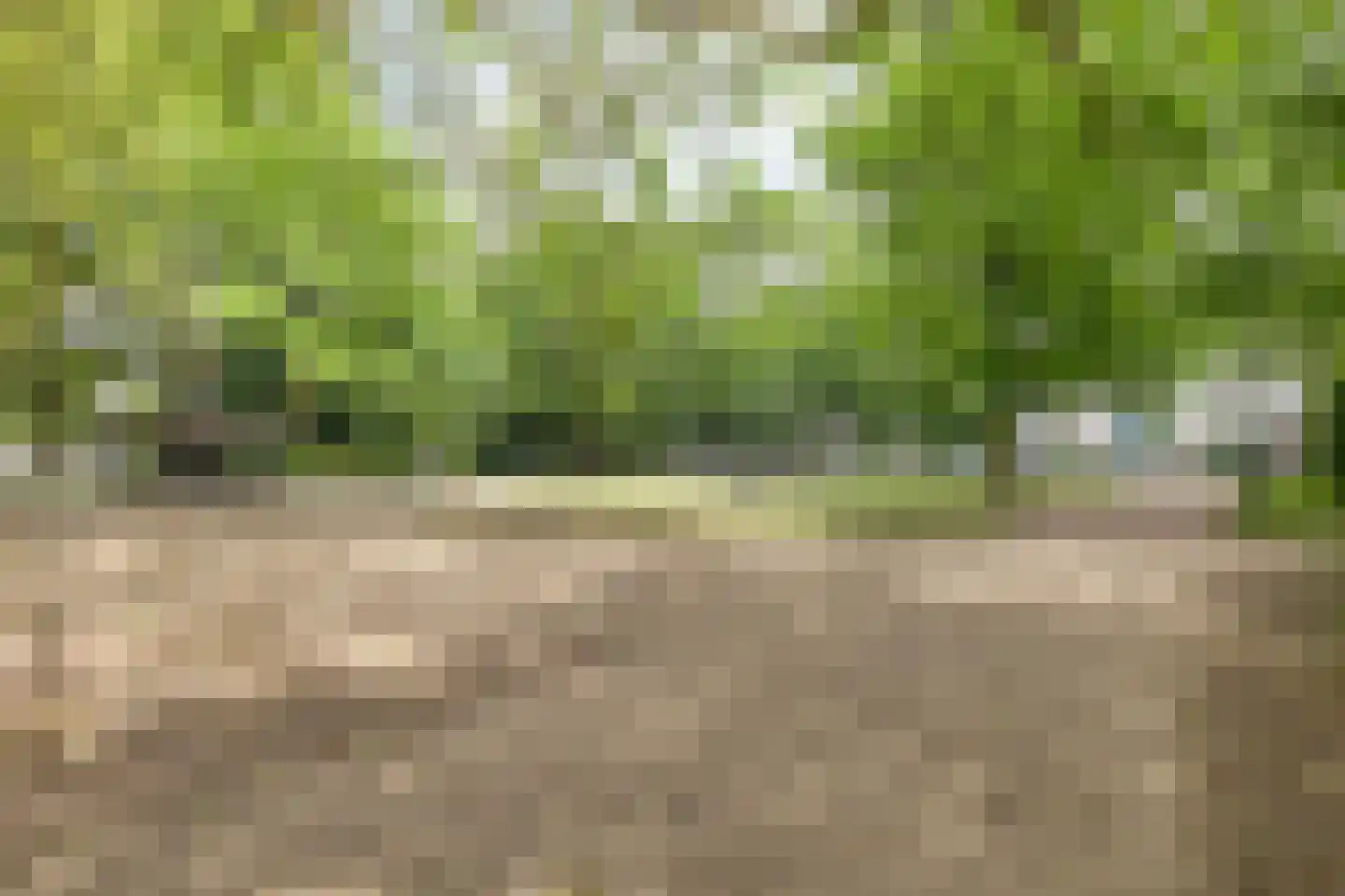 Rapenburgerstraat 73 B 5 Amsterdam thumbnail 22