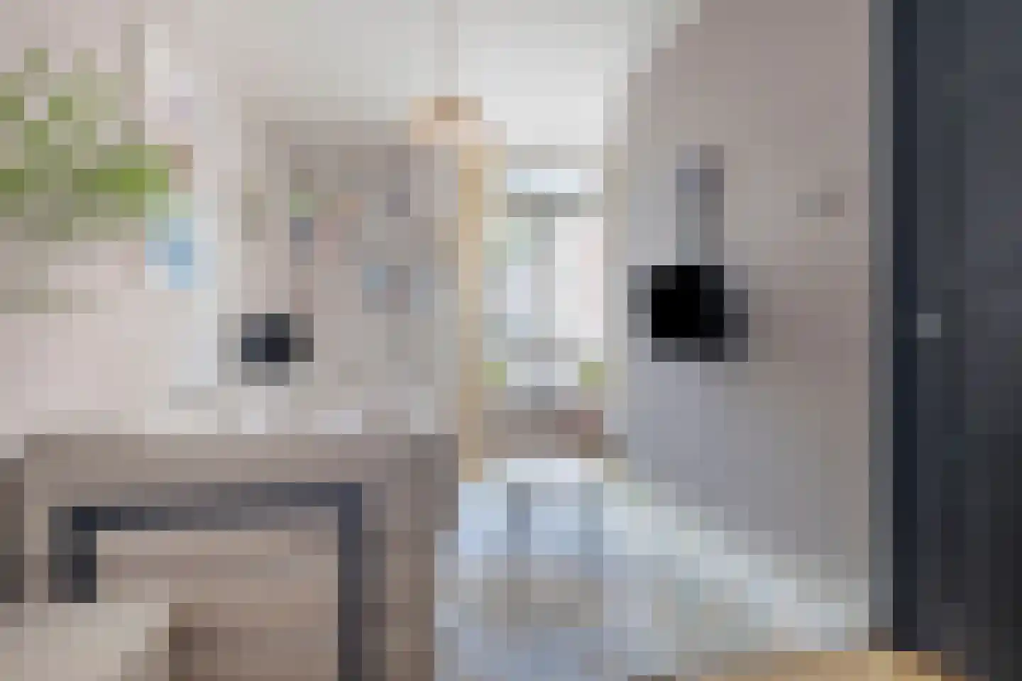 Rapenburgerstraat 73 B 5 Amsterdam thumbnail 4