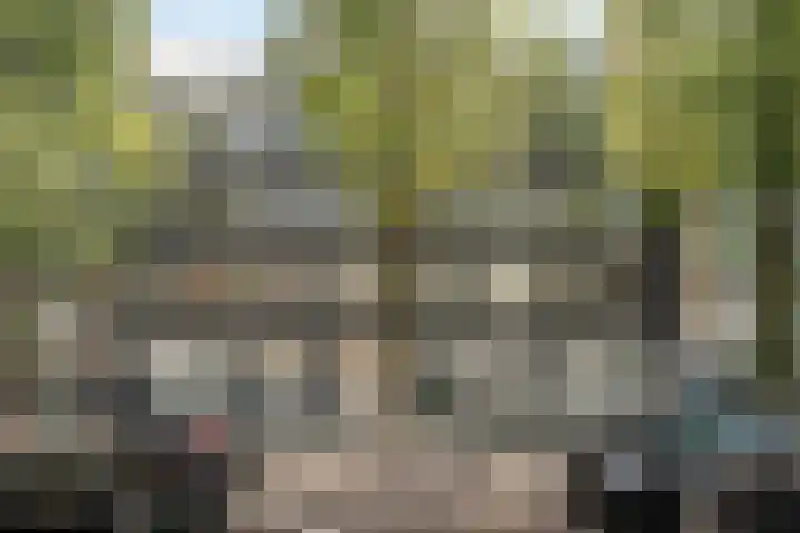 Rapenburgerstraat 73 E 2 Amsterdam thumbnail 10