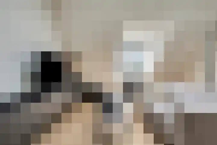 Rapenburgerstraat 73 E 2 Amsterdam thumbnail 13