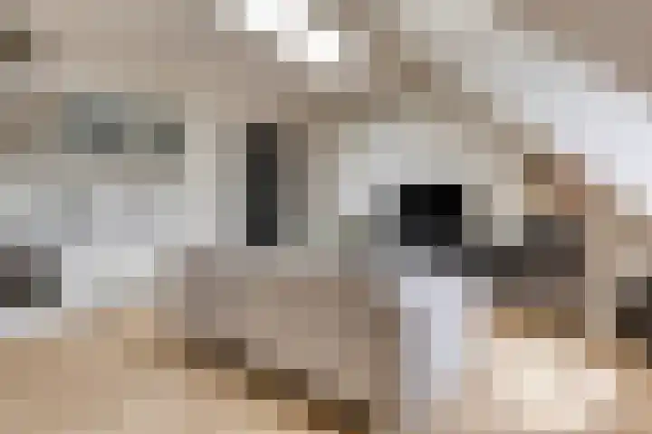 Rapenburgerstraat 73 E 2 Amsterdam thumbnail 15
