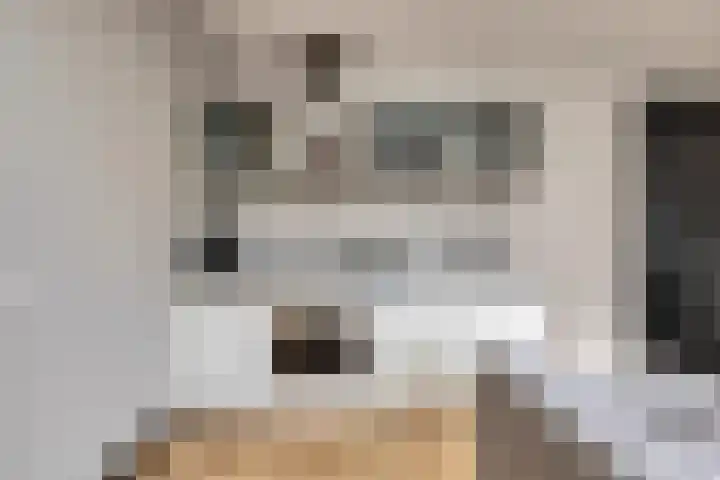 Rapenburgerstraat 73 E 2 Amsterdam thumbnail 17