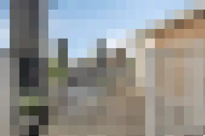 Rapenburgerstraat 73 E 2 Amsterdam thumbnail 27