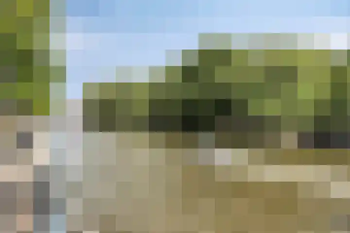 Rapenburgerstraat 73 E 2 Amsterdam thumbnail 33