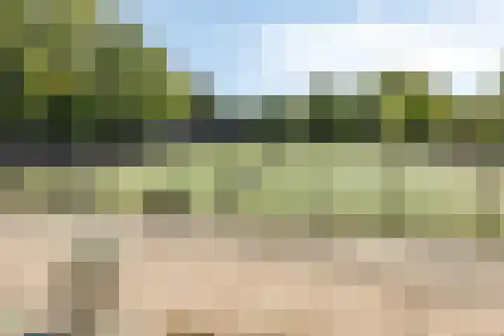 Rapenburgerstraat 73 E 2 Amsterdam thumbnail 34