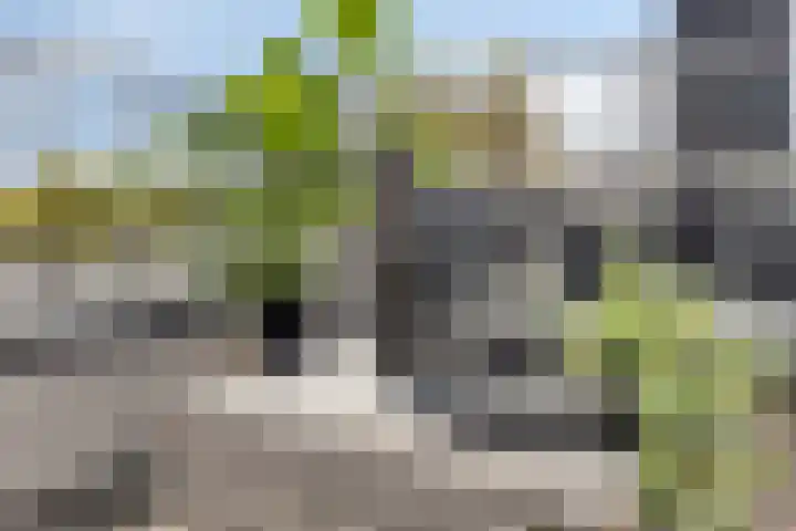 Rapenburgerstraat 73 E 2 Amsterdam thumbnail 4