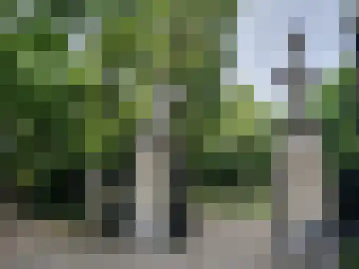 Rapenburgerstraat 73 E 2 Amsterdam thumbnail 43