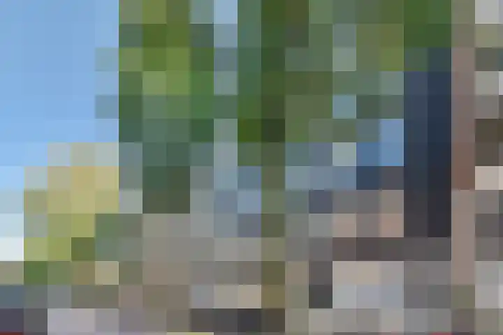 Rapenburgerstraat 73 E 2 Amsterdam thumbnail 45