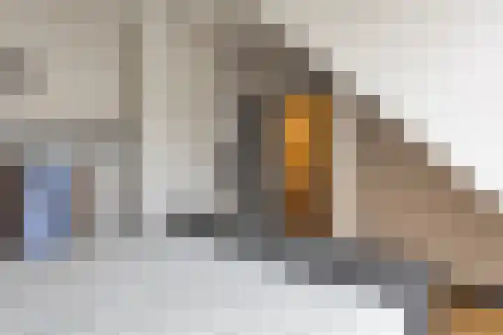 Rapenburgerstraat 73 E 2 Amsterdam thumbnail 5