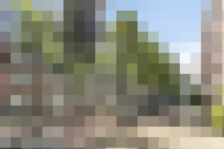Rapenburgerstraat 73 E 2 Amsterdam thumbnail 6