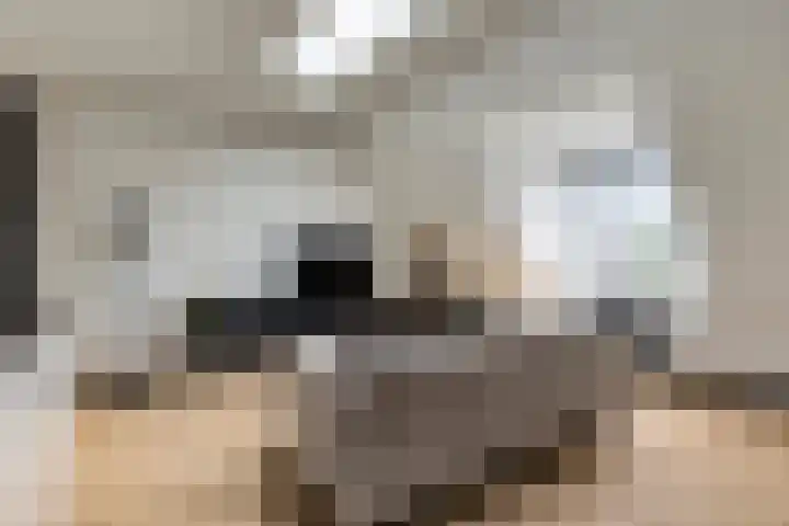 Rapenburgerstraat 73 E 2 Amsterdam thumbnail 7