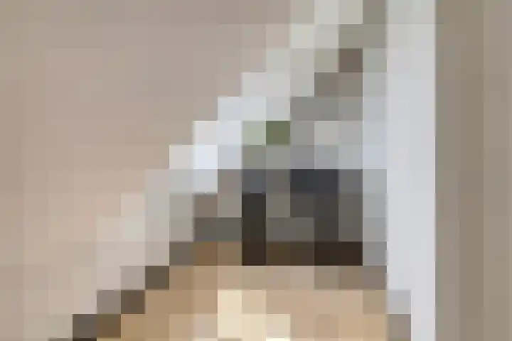 Rapenburgerstraat 73 E 2 Amsterdam thumbnail 9